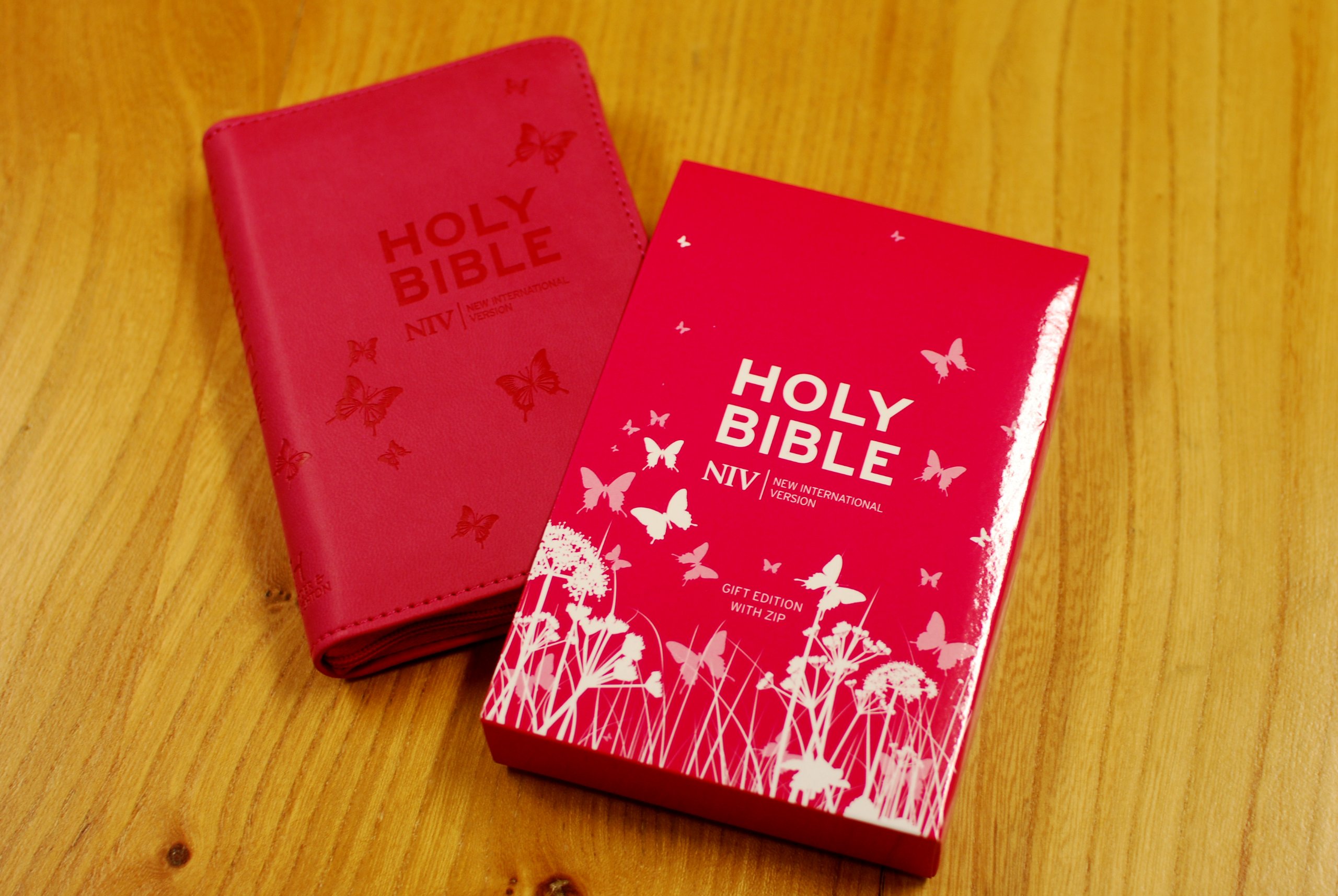 NIV Tiny Pink Soft-Tone Bible With Zip - Hodder & Stoughton